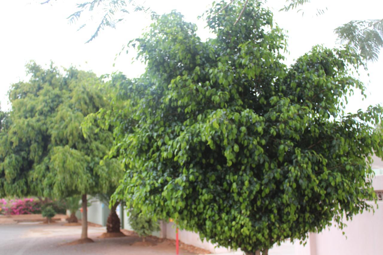 Strand Meadows B&B Gaborone Exterior foto